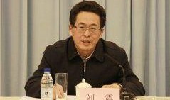 刘震最新爆料视频播放,事件真相再引热议