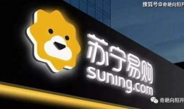 南京苏宁员工最新爆料,揭秘内部真相与困境