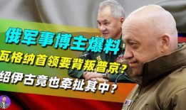 瓦格纳首领最新爆料视频,揭秘内幕与真相