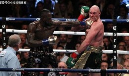 拳王怀特最新爆料,最新动态与未来计划曝光！”