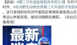 东坑新闻爆料事件最新进展,真相逐步浮出水面