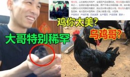 福清鸡哥爆料事件视频最新,揭秘事件背后真相